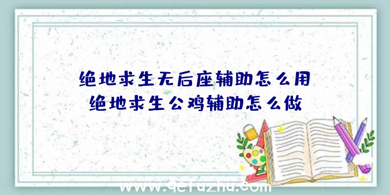 「绝地求生无后座辅助怎么用」|绝地求生公鸡辅助怎么做